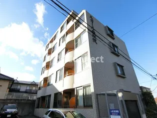 ルガール白水沢【4階】の外観