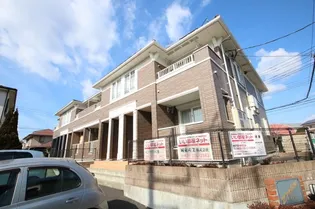 ドルチェの画像