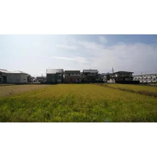 セジュール大園 弐番館【2階】のその他画像