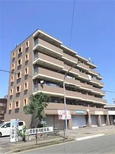 パセール長良【5階】の外観