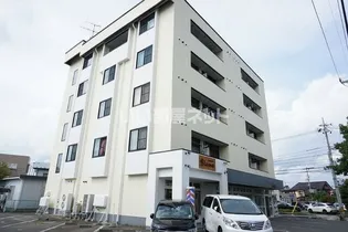 ハイムスT1の画像