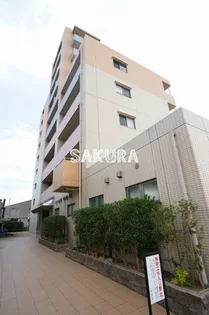 エヴァーグリーン新羽の画像