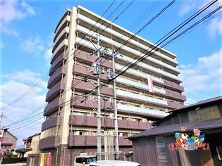 パルデンス エコノ8の画像