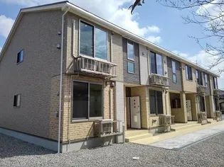 アベリアの画像