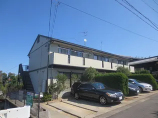 アーブル緑の画像