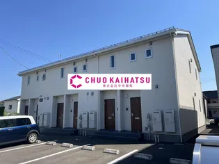 PINO本通りの画像