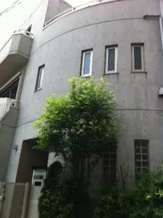 カテリーナの画像