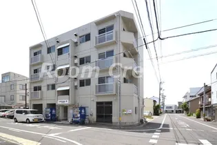 シトラスSの画像