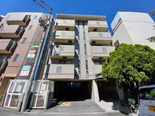 チェリーブロッサムの画像