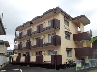 ハイツ光洋【1階】の外観