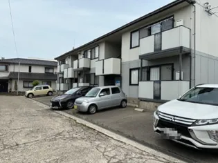 テンダーネス96の画像