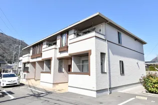 クローバーMの画像