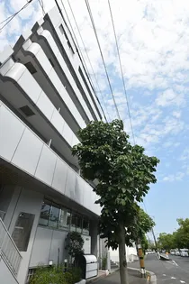 小田ビルの画像