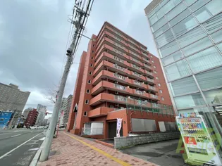 ドミ山鼻九条【6階】の外観