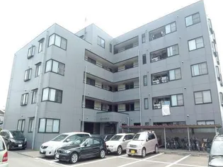 サンパーラ板垣パート2の画像