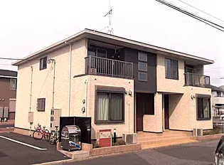 グリシーヌの画像