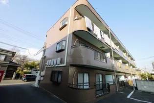 ソフィア蕨の画像