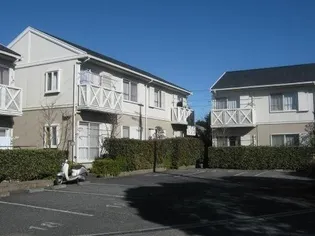 シルキーウインドの画像