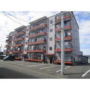 MS,MURAKAMIの画像