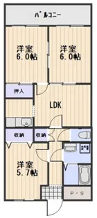 シャインブライトリー寿館【2階】の間取り
