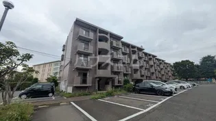フィール野川の画像
