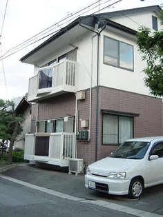 カモミール380 IIの画像