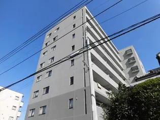 セザン ビヨークの画像