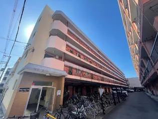 大阪府大阪市住吉区山之内3【マンション】の外観