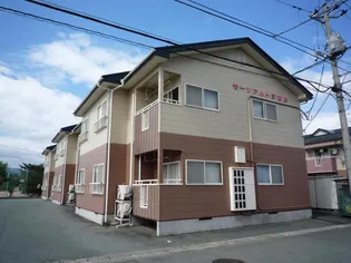 山形県山形市桜田東2【アパート】の外観