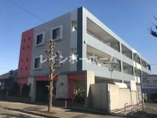 ミ ヴィーダの画像