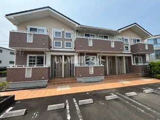 ミミヤヒル Cの画像