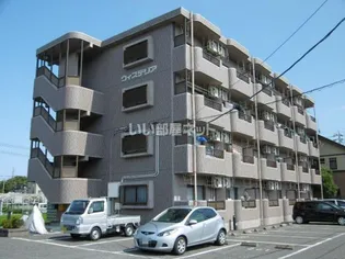 ウィステリアの画像