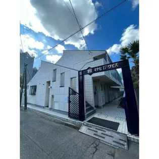 雅17ワイズの画像