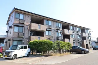 カメリア21 Aの画像