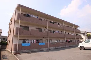 ラ メゾン ドゥーズの画像