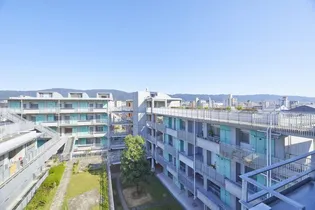 スマリオふれっくすコート吉田の画像