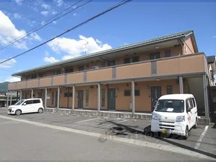 ユーフォルビアの画像