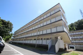 サンローレル宮内B棟の画像