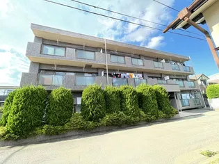 グレース奥津の画像