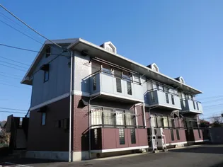 ハイネス林の画像