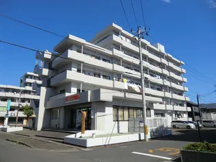 カーサ庄和の画像
