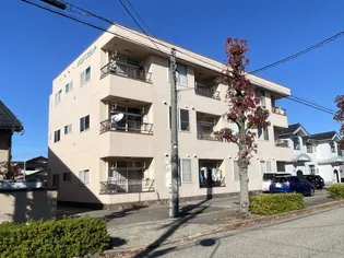 タロダフラットの画像