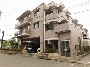 サンライトシティ美女木の画像