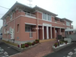 プラシードIの画像