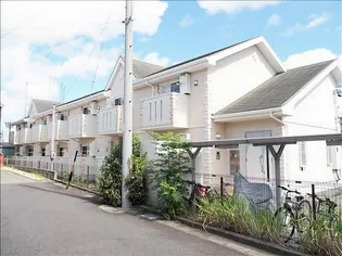 パーラ アドニスの画像