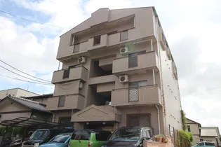 ブリランテベルの画像