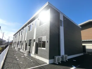 オアシスの画像