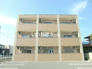 アイベックス ナインの画像