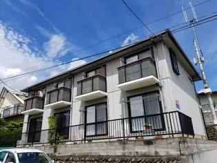 ソフィアTの画像