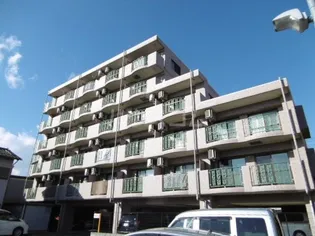 シャルマンの画像